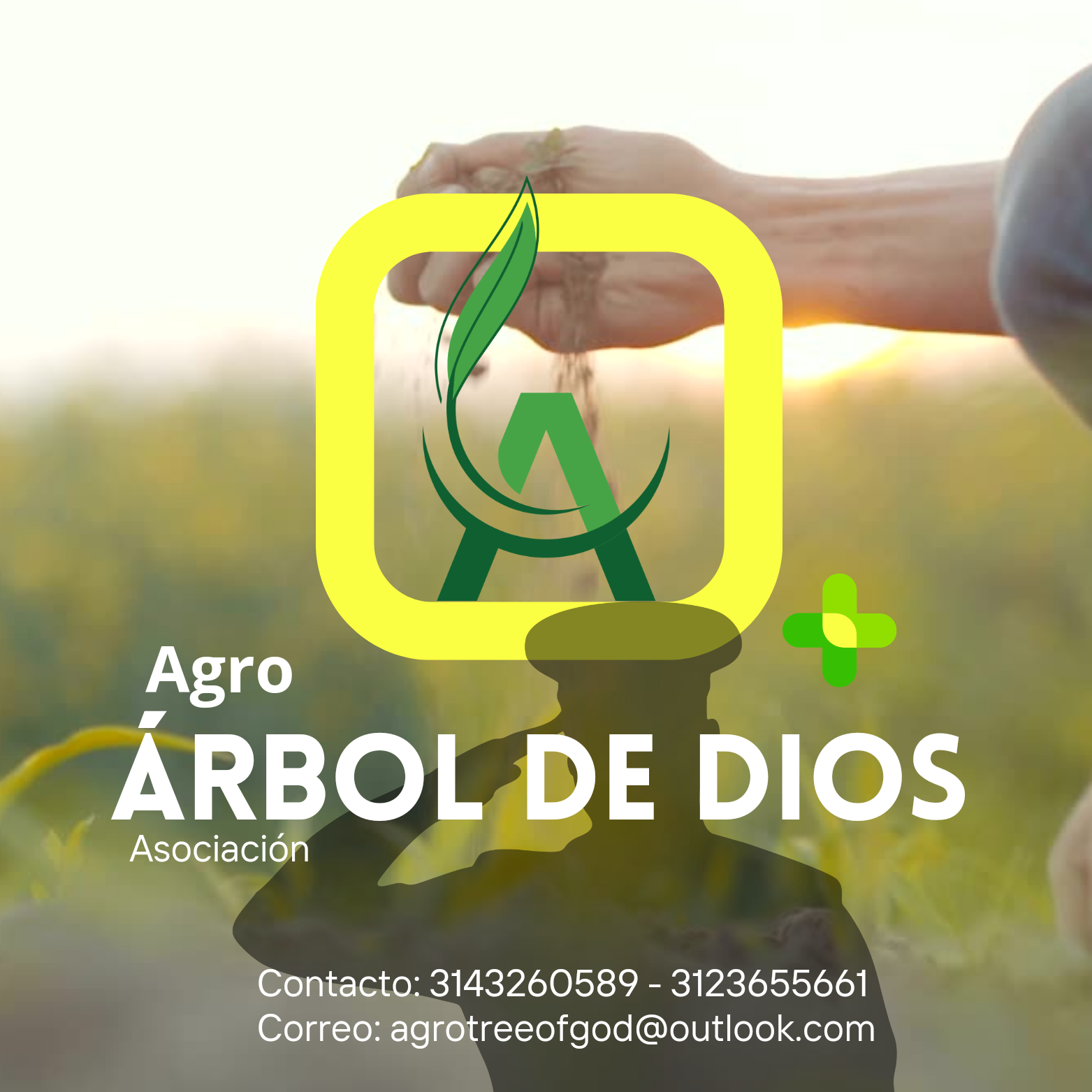 Logo de la empresa Agro Tree of God